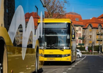 Trasee reluate pe Aleea Pădurea Verde. Liniile E4, E4b, M35 și L46 revin la parcursul obișnuit din 1 septembrie