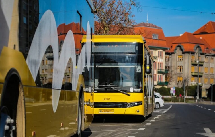 Trasee reluate pe Aleea Pădurea Verde. Liniile E4, E4b, M35 și L46 revin la parcursul obișnuit din 1 septembrie