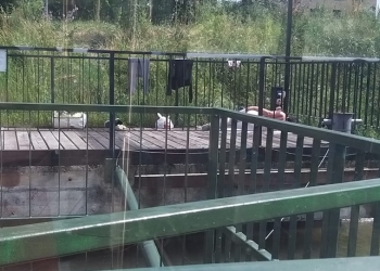 Peste 500 de amenzi aplicate de polițiștii locali pe malurile Begăi. Parcările neregulamentare, deșeurile și scăldatul ilegal – principalele abateri