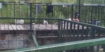 Peste 500 de amenzi aplicate de polițiștii locali pe malurile Begăi. Parcările neregulamentare, deșeurile și scăldatul ilegal – principalele abateri