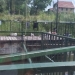 Peste 500 de amenzi aplicate de polițiștii locali pe malurile Begăi. Parcările neregulamentare, deșeurile și scăldatul ilegal – principalele abateri