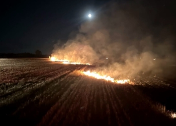 Nu aprindeţi vegetaţia uscată! 25 de hectare de terenuri din Timiş, afectate de incendii