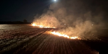 Nu aprindeţi vegetaţia uscată! 25 de hectare de terenuri din judeţul Timiş, afectate de incendii
