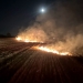 Nu aprindeţi vegetaţia uscată! 25 de hectare de terenuri din Timiş, afectate de incendii