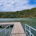 Dramatic! O femeie şi un bărbat, găsiţi înecaţi într-un lac din Banat