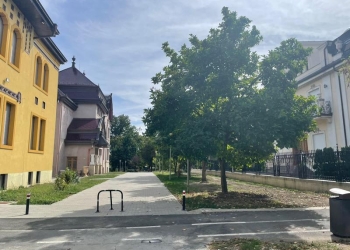 Primăria Timișoara a câștigat definitiv procesul privind recuperarea străzii Cezar