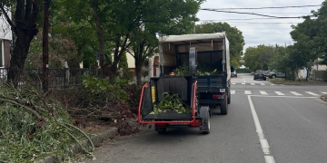 Lucrări de toaletare și defrișare a arborilor în zona Lipovei și mobilier de joacă recondiționat la Grădinița nr. 53