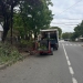 Lucrări de toaletare și defrișare a arborilor în zona Lipovei și mobilier de joacă recondiționat la Grădinița nr. 53