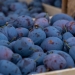 Prune proaspete în piețele din Timișoara! Ingredientul principal pentru gomboți delicioși