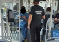 Aproape 900 de amenzi aplicate de poliţiştii locali din Timişoara în urma controalelor în mijloacele de transport în comun FOTO