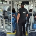 Aproape 900 de amenzi aplicate de poliţiştii locali din Timişoara în urma controalelor în mijloacele de transport în comun FOTO