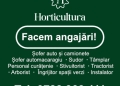 Horticultura Timișoara face angajări pe mai multe posturi disponibile în cadrul companiei