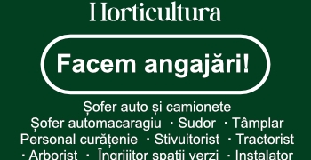 Horticultura Timișoara face angajări pe mai multe posturi disponibile în cadrul companiei
