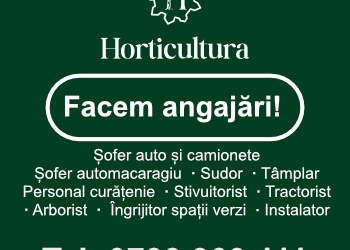 Horticultura Timișoara face angajări pe mai multe posturi disponibile în cadrul companiei