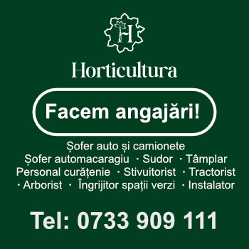 Horticultura Timișoara face angajări pe mai multe posturi disponibile în cadrul companiei