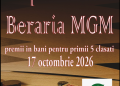 Cupă de table la Timișoara