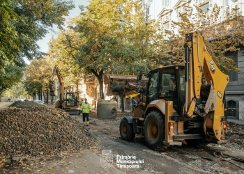 Regenerarea zonei Traian: Primăria Timişoara introduce un sistem special pentru dezvoltarea arborilor FOTO