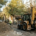 Regenerarea zonei Traian: Primăria Timişoara introduce un sistem special pentru dezvoltarea arborilor FOTO
