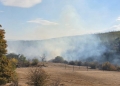 Val de incendii de vegetație în județul Timiș. Zeci de pompieri, militari și voluntari au luptat cu flăcările la Știuca și Bunea Mare