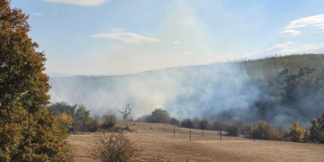 Val de incendii de vegetație în județul Timiș. Zeci de pompieri, militari și voluntari au luptat cu flăcările la Știuca și Bunea Mare