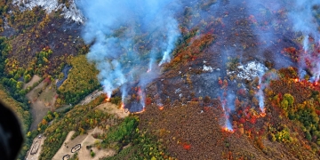Foc de nestins de săptămâni, în Parcul Național Domogled-Valea Cernei