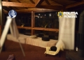 Ritualuri spirituale și droguri în vestul țării. Doi soți reținuți pentru trafic de droguri de risc și mare risc