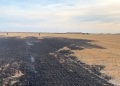 Noi incendii provocate de arderea vegetaţiei uscate şi a deşeurilor în judeţul Timiş