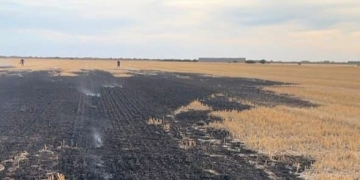 Noi incendii provocate de arderea vegetaţiei uscate şi a deşeurilor în judeţul Timiş