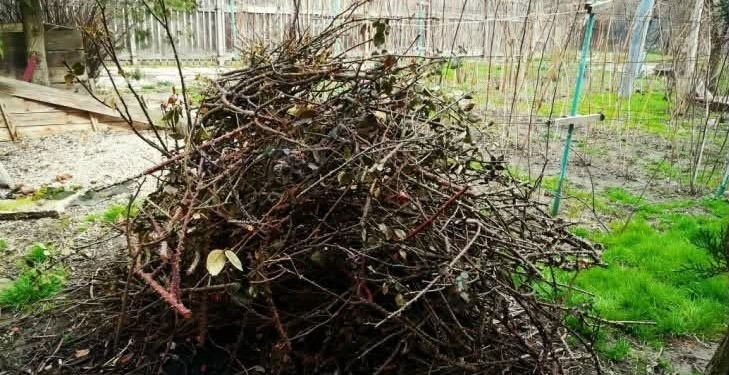 Campania de toamnă pentru colectarea resturilor vegetale în Remetea Mare și Ianova