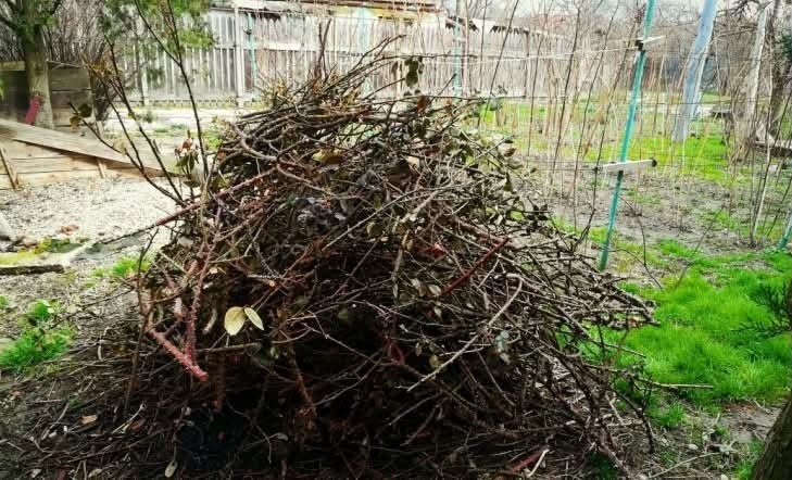 Campania de toamnă pentru colectarea resturilor vegetale în Remetea Mare și Ianova