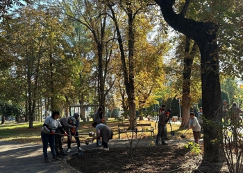 Mai multă verdeață și zeci de bănci noi în Timișoara