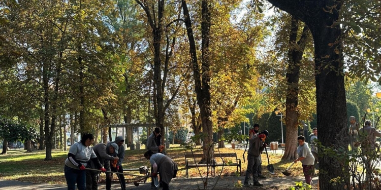 Mai multă verdeață și zeci de bănci noi în Timișoara