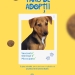 Vă puteți găsi cel mai bun prieten sâmbătă, la Târgul de adopții din Timișoara